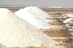 Salt Production